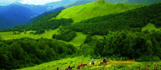 Советы путешествующим в Абхазию