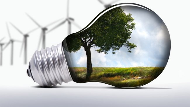 Почему эко-инновации полезны для бизнеса