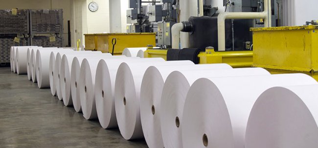 Группа компаний «Кубань - Папир Групп» - крупнейший производителем целлюлозно-бумажной продукции
