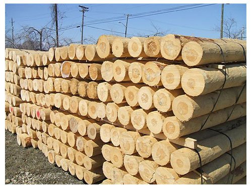 Правила обработки древесины транспортным антисептиком на период транспортировки и хранения
