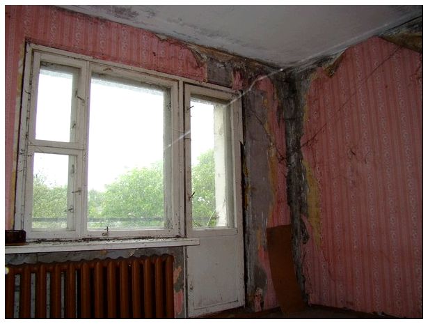 что делать если в доме сырость фото