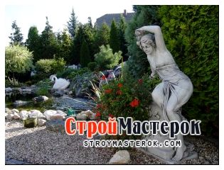 Дачный участок7