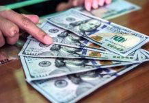 Эксперт: курс доллара продолжит рост на следующей неделе