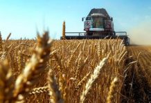 Коронакризис-2020: Что будет в России с едой