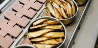 «Происки» Кремля ни при чем: Русские шпроты «оккупировали» Латвию