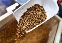 Зерновые бароны засветились на гречке