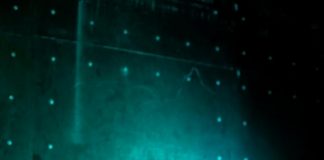 ТОП−9 интересных фактов о Японии от дочери самурая